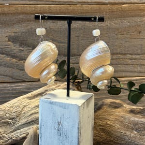 May include: A pair of dangle earrings featuring iridescent, spiral-shaped seashell charms. Each earring is accented with a small, square-shaped white bead positioned above the shell, suspended from a silver-toned metal hook wire.