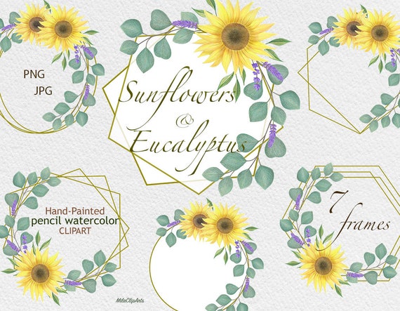 Download Sunflowers Eucalyptus Clipart Sunflowers Wreath Frame Etsy