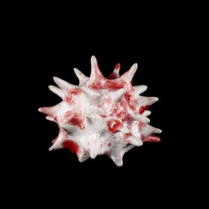 Könnte beinhalten: Eine kugelförmige Keramikskulptur mit weißer Basis, unregelmäßigen roten Spritzern und zahlreichen spitzen, dornartigen Vorsprüngen, die vom Zentrum nach außen ragen und eine texturierte, mehrdimensionale Optik vor einem schwarzen Hintergrund erzeugen.