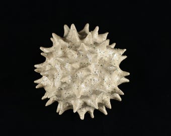 Handcrafted Ceramic Spiky Sculpture, Unique Organic Pottery Art, Wabi-Sabi Decorative Object, Studio Ceramics