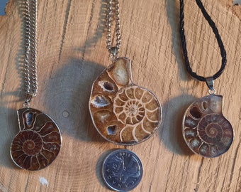 Fossil Seashell Natural Ocean Conch Necklaces