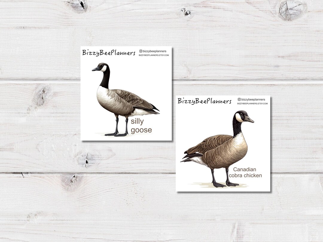 Canada Goose Sticker- Cobra Chicken Sticker- Goose Sticker - Etsy