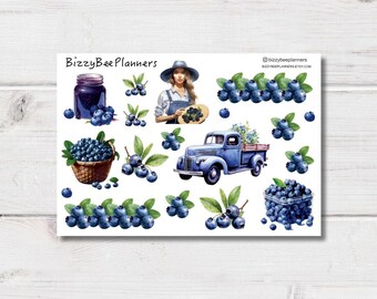 Blueberries Stickers- Planner Stickers- Blueberry Stickers-  Journaling Stickers