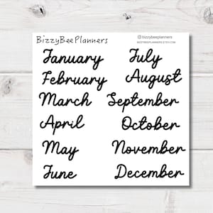 Puede incluir: Una hoja de pegatinas blanca con los meses del año escritos en cursiva negra. Las palabras "BizzyBeePlanners" y "bizzybeeplanners ETSY.COM" también están impresas.