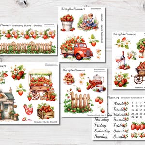 Strawberry Bundle Sticker Kit- Strawberry Stickers- Planner Stickers- Deco Stickers