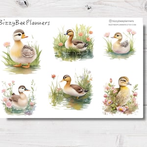 Stickers bébé canard - Stickers agenda - Stickers canard - Stickers journal - Stickers transparents - Stickers floraux