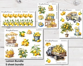 Lemon Bundle- Lemon Stickers- Summer Stickers- Journaling Stickers- Planner Stickers- Transparent Stickers