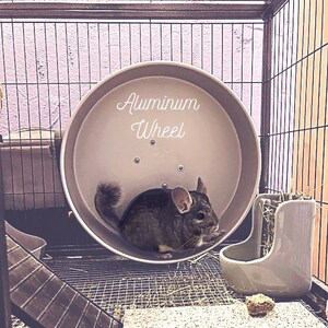 chinchilla exercise wheel
