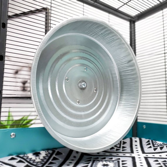 chinchilla exercise wheel