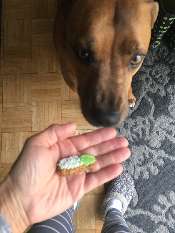 Prescription Dog Chill Pill Gourmet Gluten Free Dog Treats Etsy