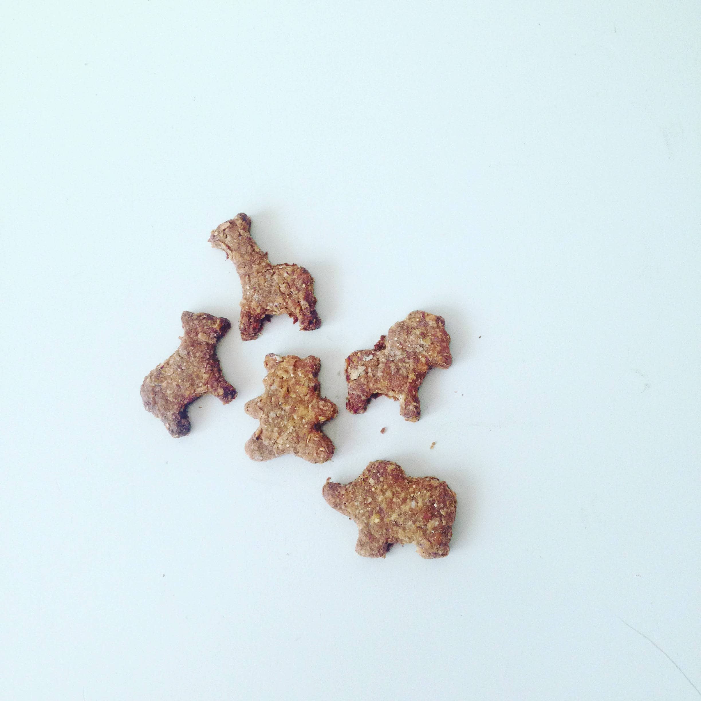 Can Dogs Eat Animal Crackers / Can Dogs Eat Crackers Should You Share