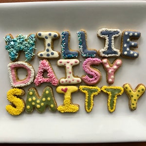 Bite Size Animal Crackers Gourmet Gluten-free Dog Treats - Etsy
