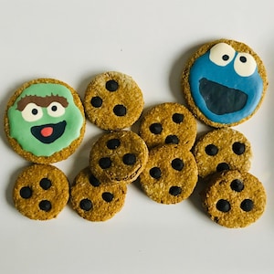 May include: A plate of decorated cookies featuring Sesame Street characters Cookie Monster and Bert. The cookies are decorated with blue, green, and brown icing. Some cookies have chocolate chips.