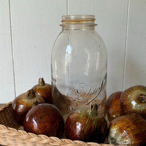 Vintage Drey Mason Jar: Half Gallon Wavy Glass with Floral Frog Lid
