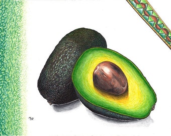Avocado ballpoint pen drawing