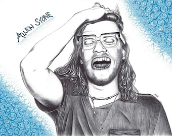Allen Stone portrait ball point pen drawing