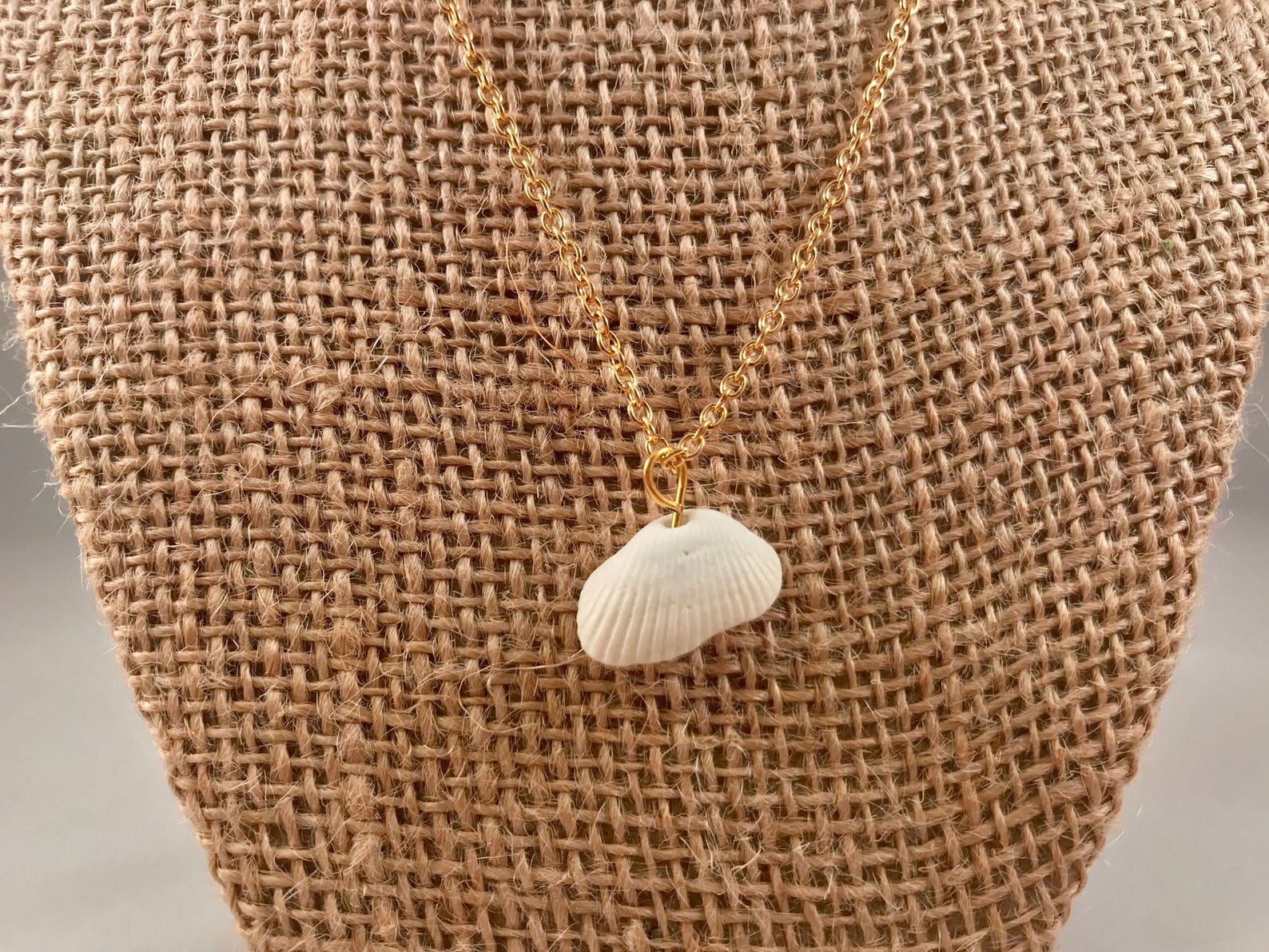 White Sea Shell Necklace Sea Shell Necklace Florida Shell Etsy