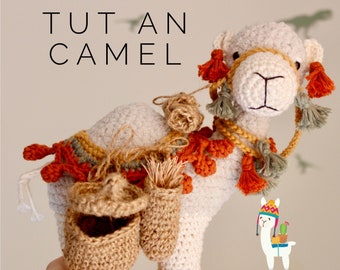 Endast PDF Tut the Camel