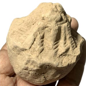 Op de afbeelding: Een lichtbruine, ruw getextureerde steen met gesneden lineaire patronen. Het object wordt in een hand gehouden en de achtergrond is wit. De steen lijkt een artefact of een kunstwerk te zijn.