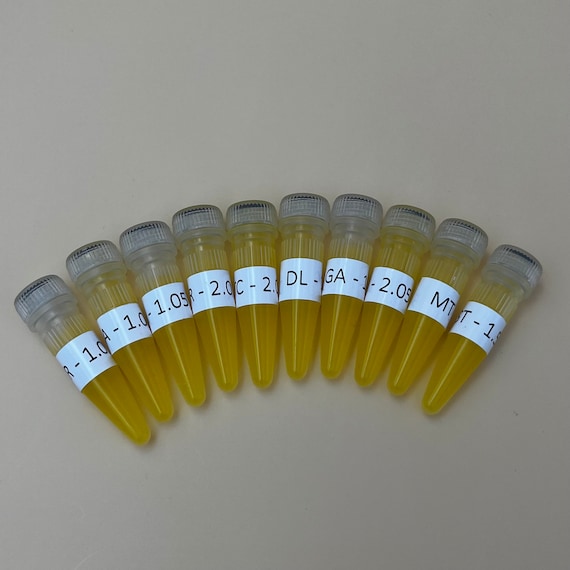 OPLE Props Jurassic Park Dino DNA Cryo Vials With Dinosaur Label  Tyrannosaurus Rex Velociraptor Parasaurolophus Stegosaurus Gallimimus Prop  - Etsy Finland
