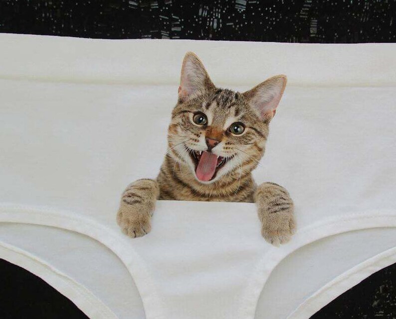 Cat underwear cat panties pussycat panties kitty panties Etsy