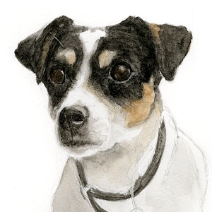 Jack Russell Terrier, carte de voeux Jack Russell