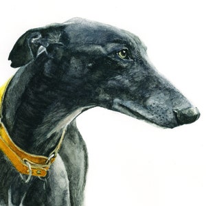 Carte lévrier noir, galgo, carte lévrier espagnol