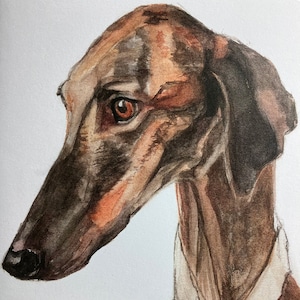 Carte galgo, carte lévrier, carte whippet