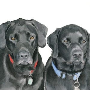 Carte labrador noir, carte de voeux de chien