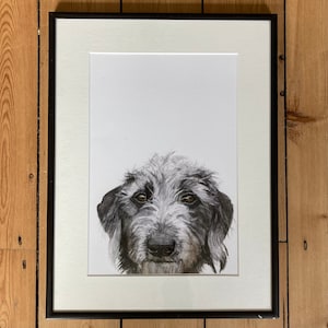 Bedlington Whippet Art print, Lurcher print, Sighthound Art