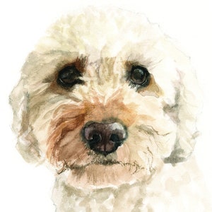 Cockapoo card, Dog Greetings card