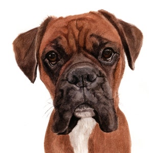 Carte Boxer, Carte Chien