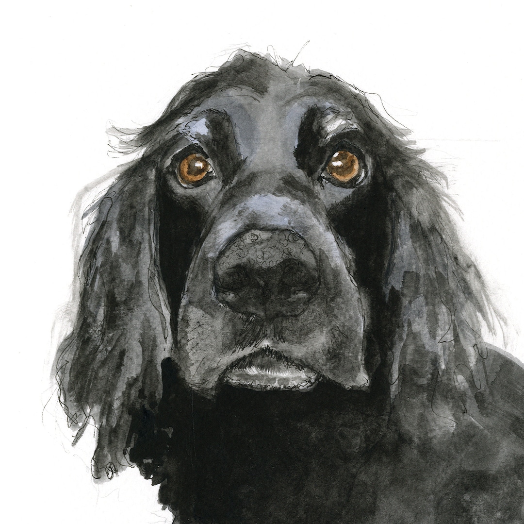 Black Cocker Spaniel Greetings Card - Etsy UK