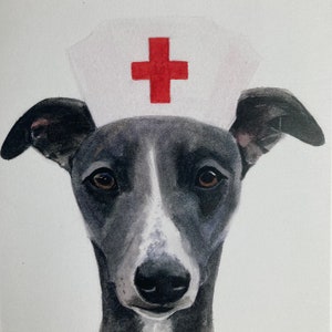 Whippet, carte de rétablissement, carte whippet, carte de voeux chien