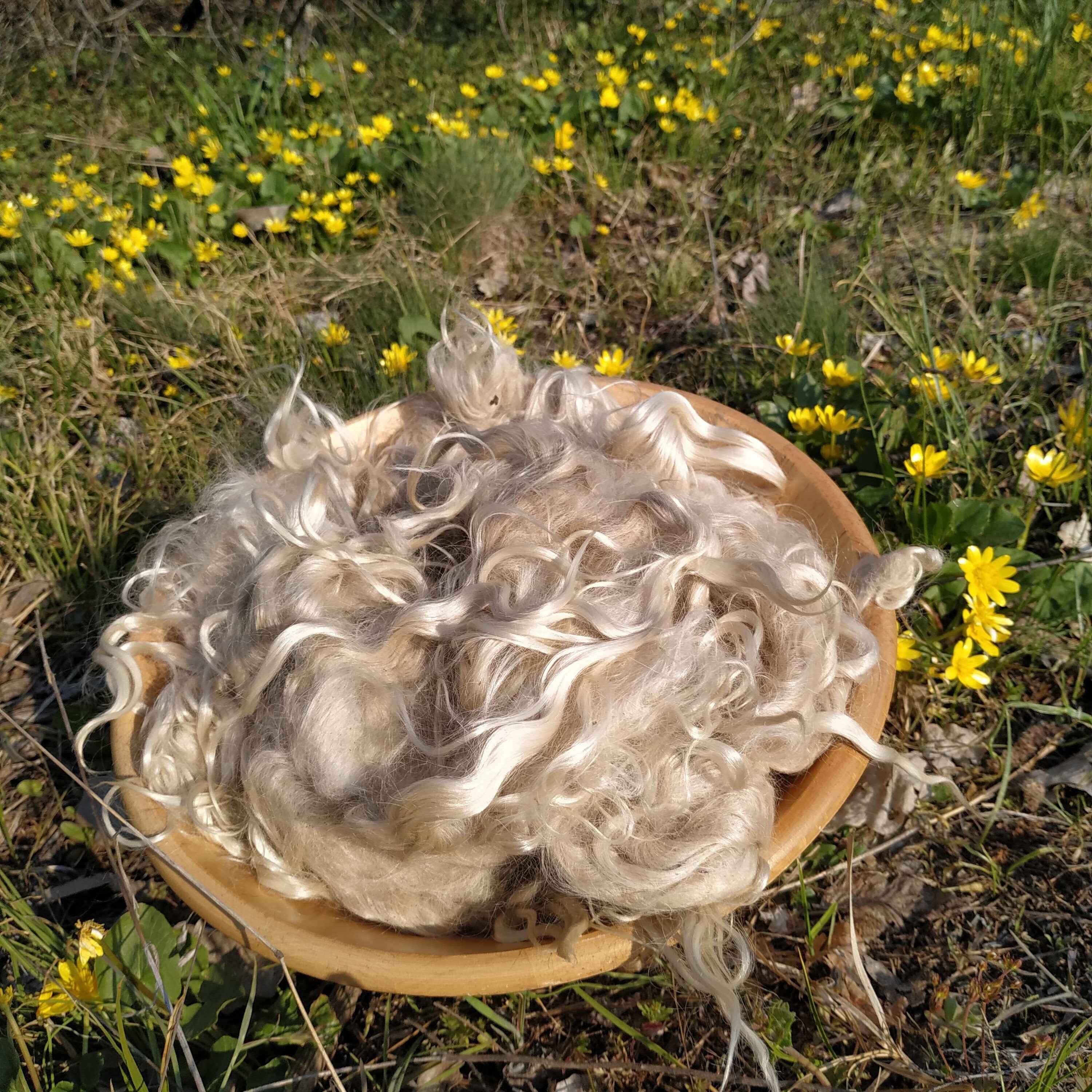 Mohair raw 3.5 oz 100 gr. Angora wool fiber for spinning. Etsy