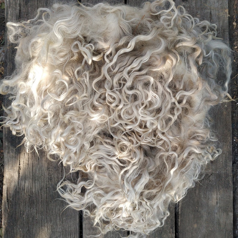 Raw white mohair fleece 3.5 oz 100 gr. Angora wool fiber for Etsy