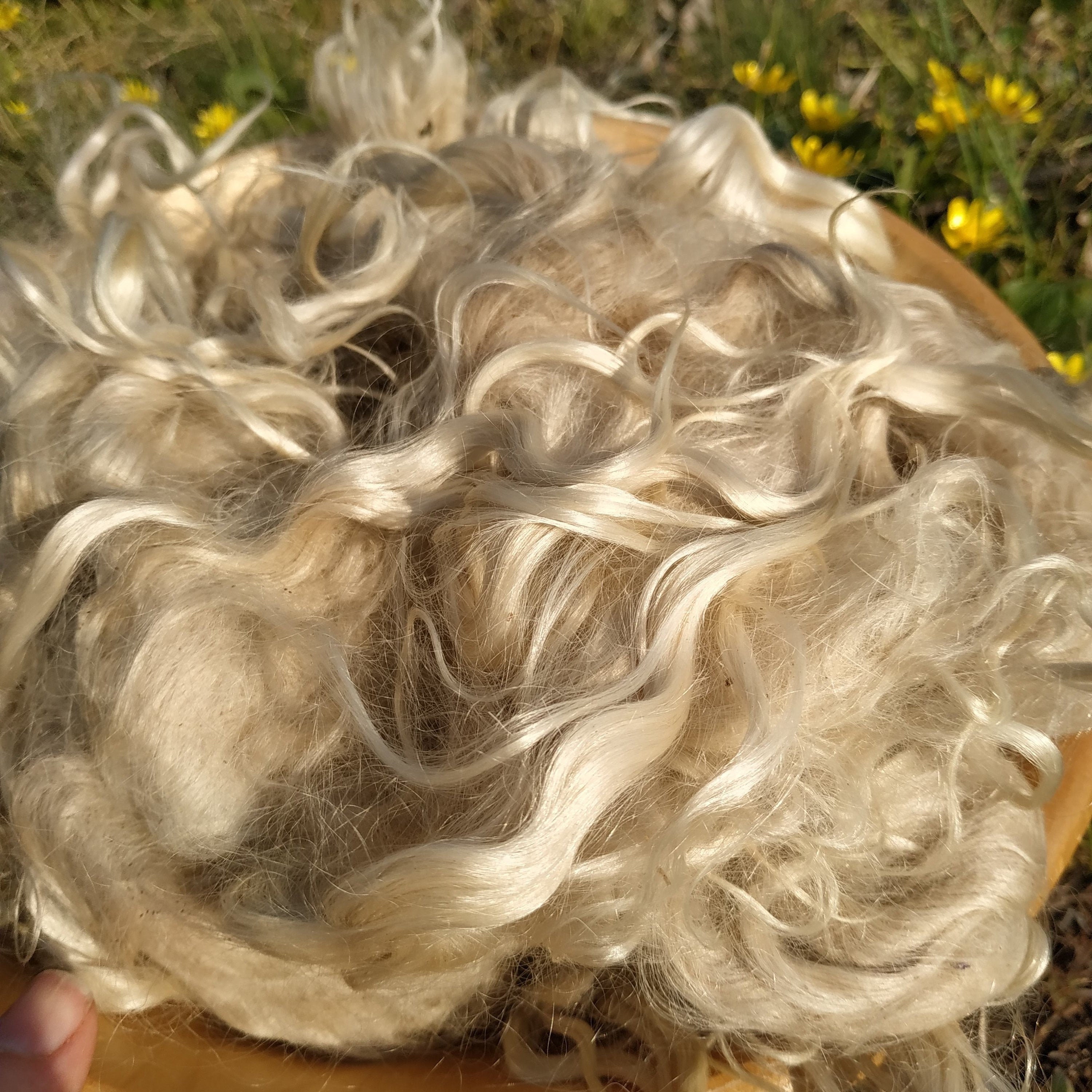 Mohair raw 3.5 oz 100 gr. Angora wool fiber for spinning. Etsy