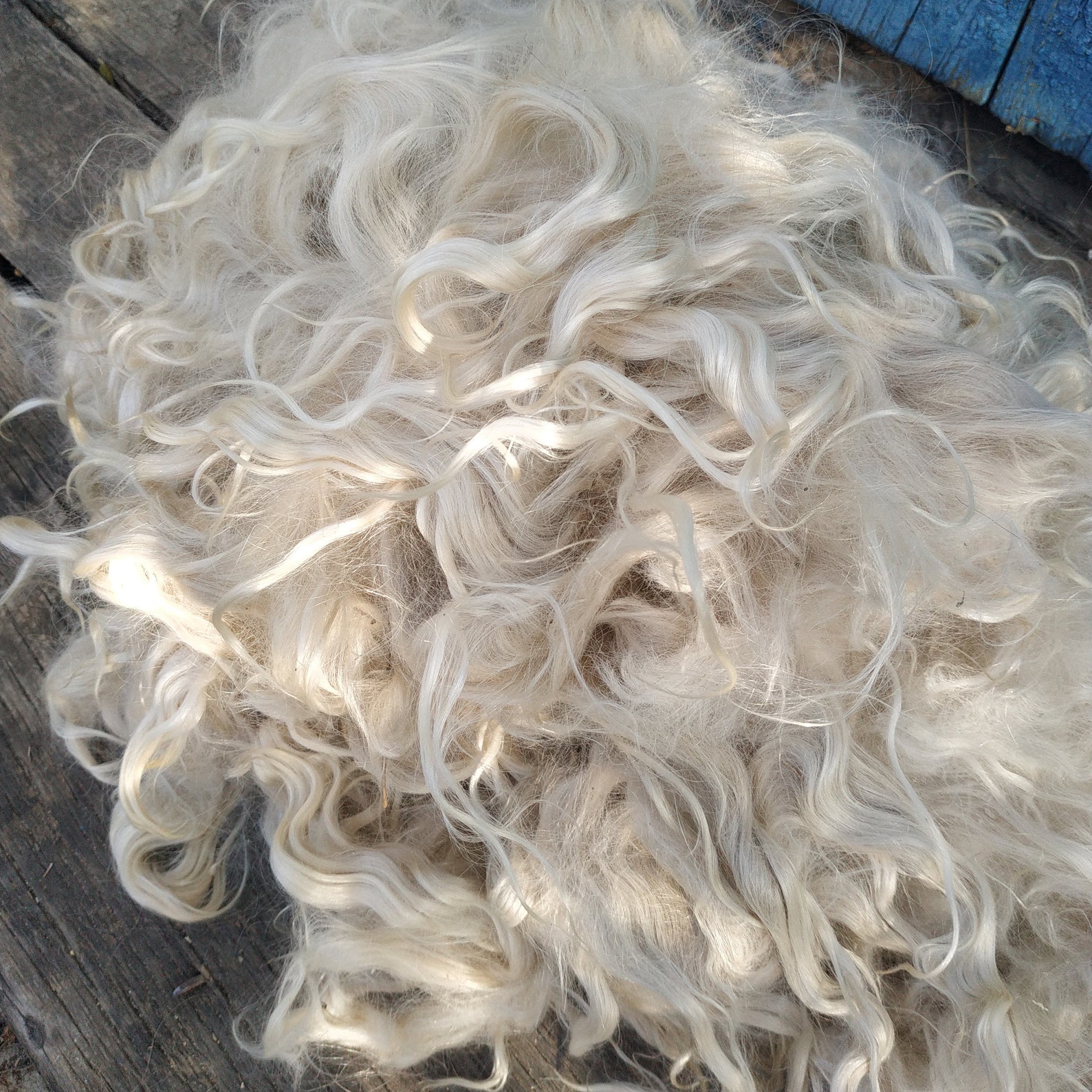 Raw mohair locks 3.5 oz Raw Mohair doll hair Angora mohair Etsy