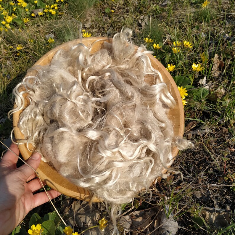 Mohair raw 3.5 oz 100 gr. Angora wool fiber for spinning. Etsy