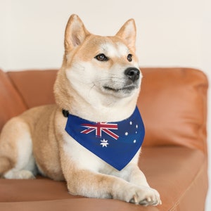 May include: A Shiba Inu dog wearing a blue bandana with the Australian flag printed on it. The dog is sitting on a brown leather couch.