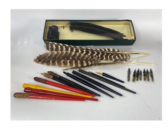 22 Piece Set Feather Quills, Ink and Calligraphy Dip Pens & Nibs  Set