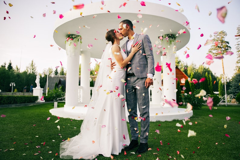 Throw Some Love Natural Wedding Confetti Rose Petals Biodegradable Confetti Real Natural Flowers image 1