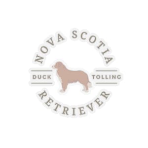 NSDTR Nova Scotia Duck Tolling Retriever Dog Gift Stickers Pet Mom Dad Decal