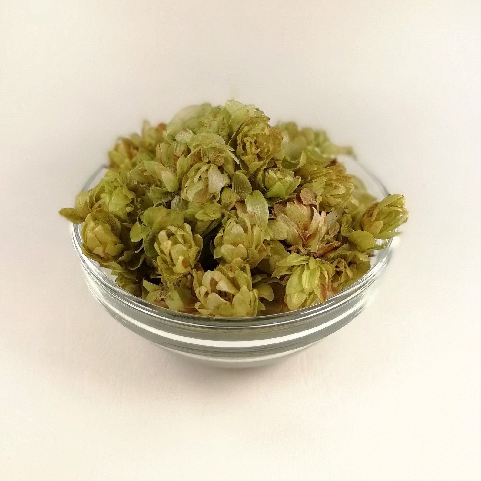 Hops Flowers Organic Wild Hops 2oz Dried ORGANIC Hops Etsy