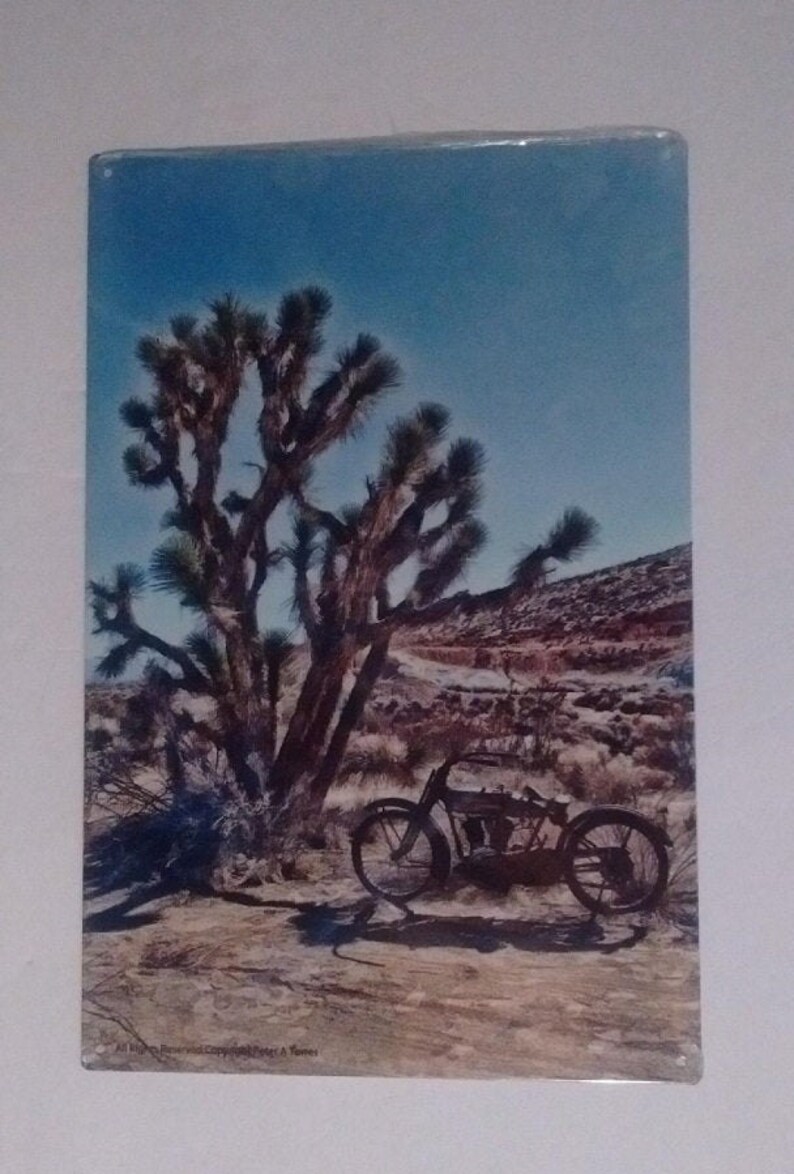Desert Tree Bike 24 Gauge Sign Collectible Shop Home Office Gift