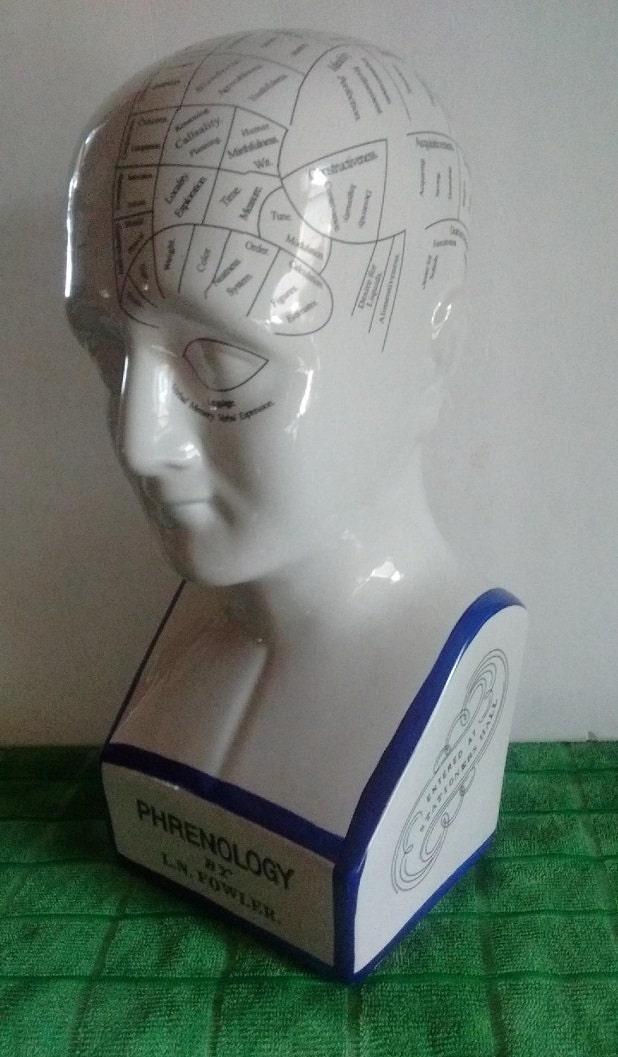 Phrenology Head Medical Bust Scientific Skull Porcelain Office Home 