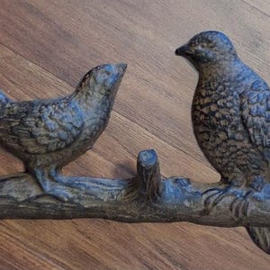 May include: A dark brown cast iron wall hook rack featuring two textured birds perched on a branch. The branch has three upward-facing hooks for hanging items, with two visible screw holes for mounting the piece securely to a flat surface.