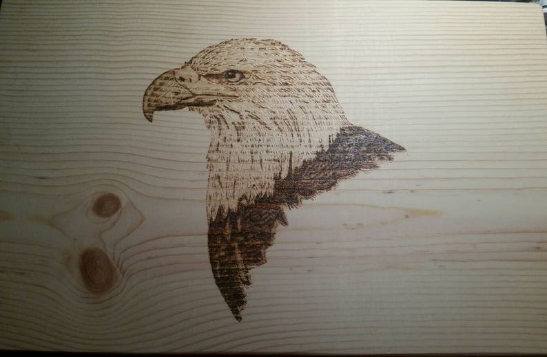 Bald Eagle Gun Concealment | Etsy