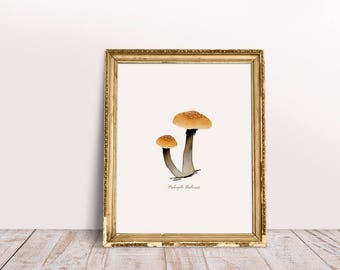 Psilocybe Cubensis Print | Downloadable Art | Mushroom