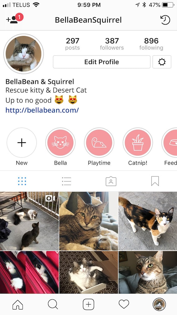 Instagram Highlight Covers Cat Lovers Edition Cat Themed Etsy